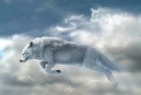 /album/secret-singing-wolves/white-wolf-in-the-sky-jpg/